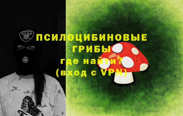 ALPHA-PVP Новозыбков
